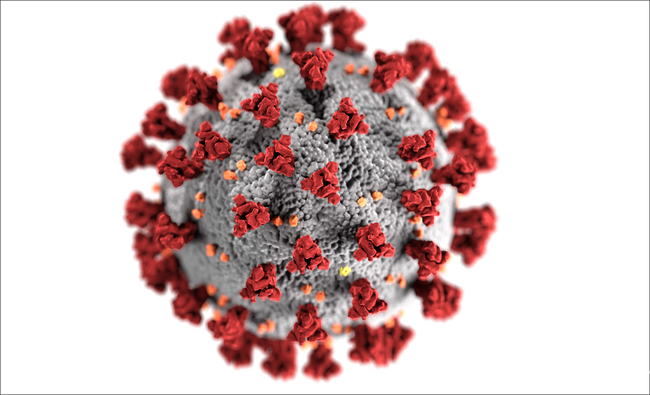 coronavirus-alternativbild.jpg